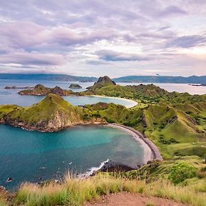 Dragon Dive Komodo Dive Resort